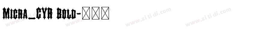 Micra_CYR Bold字体转换 Micra_CYR Bold字体转换